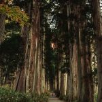 How Many Degrees Is a Taylormade Approach Wedge?