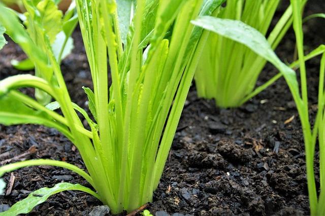 Is Mizuno Drive Adapter Compatible with Other Manufacturers? Compatibility Check