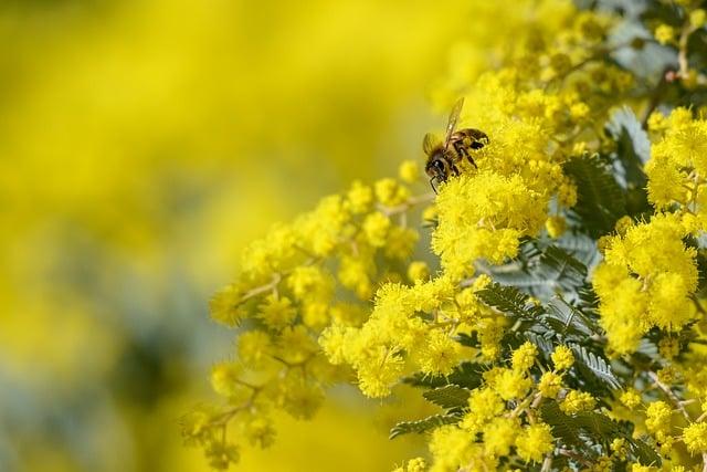 GolfGearDirect.blog: Elevate Your Game with Expert Gear Reviews 5 Callaway Blue Water: Is It BPA Free?