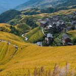 Which Is Better: Ping or TaylorMade? Expert Comparison