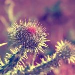 What Degree Is a Callaway XR Pitching Wedge? Detailed Info!