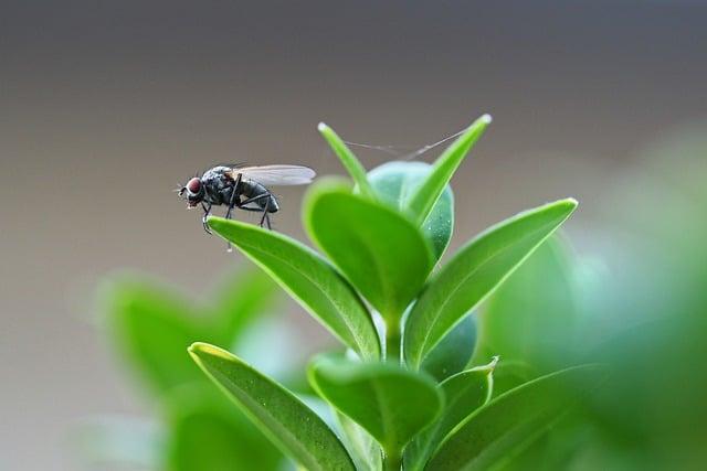 Is TaylorMade M4 Forgiving? Performance Breakdown