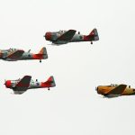 Are TaylorMade M6 Irons Cavity Back? Comprehensive Guide