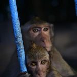 What Is a Callaway A Iron? Comprehensive Review!