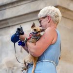 Best Buy Golf Trolley Bags: Top Choices for 2024