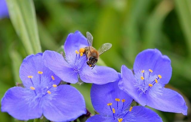 GolfGearDirect.blog: Elevate Your Game with Expert Gear Reviews 9 Best Cart Bag with Cooler: Stay Refreshed on the Course