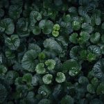 Callaway X2 Hot Irons Review: The Perfect Balance?