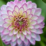 How Old Are Callaway X-20 Irons? A Look Back in Time