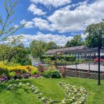 How Much Are Mizuno Golf Clubs? Price Guide