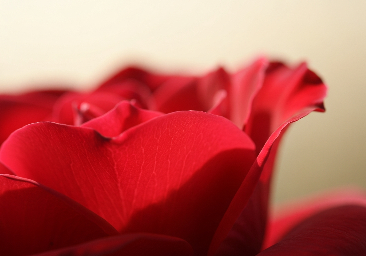 Worn golf iron grooves vs new grooves demonstrating spin loss